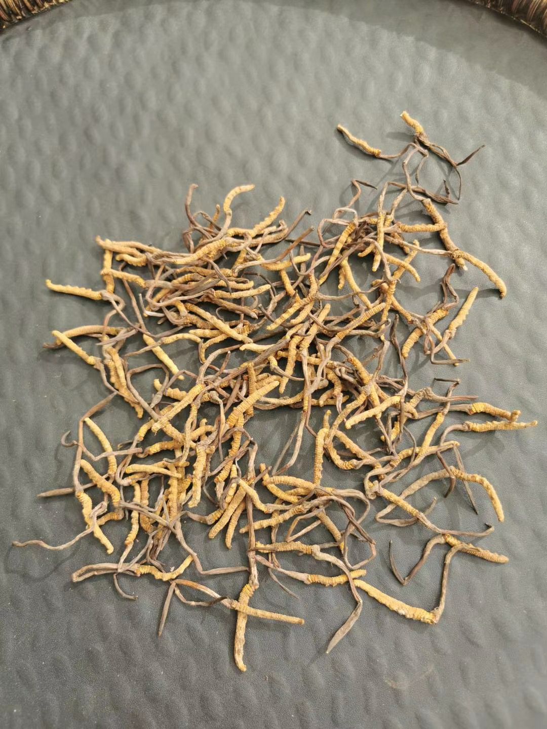 果洛州雪山虫草 青海果洛草9块一根