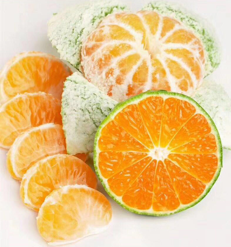 大分四号柑桔苗  大分四号早熟蜜桔苗 温州蜜桔苗 日南一号