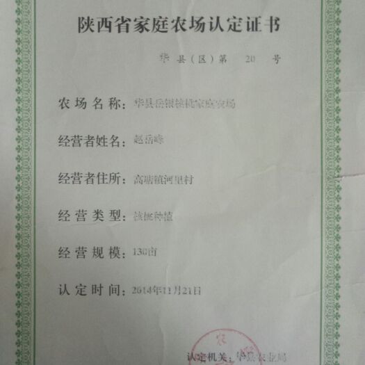 渭南 陕西渭南优质核桃