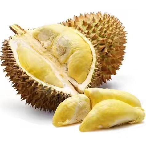汕头 金枕榴莲小核