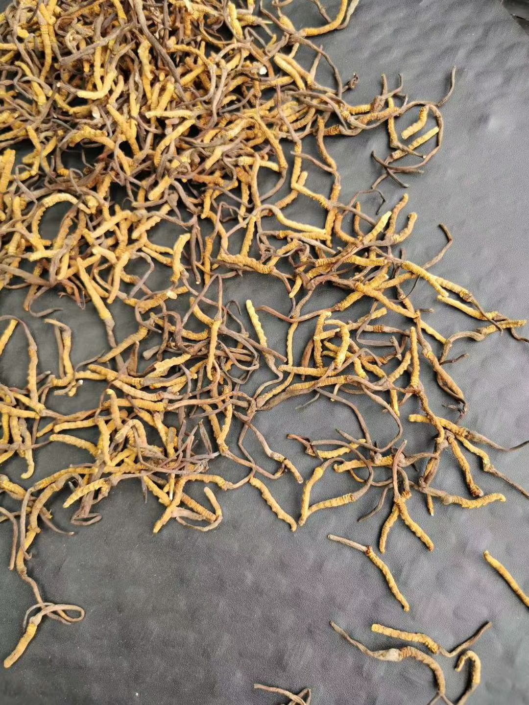 果洛州雪山虫草 青海果洛草9块一根