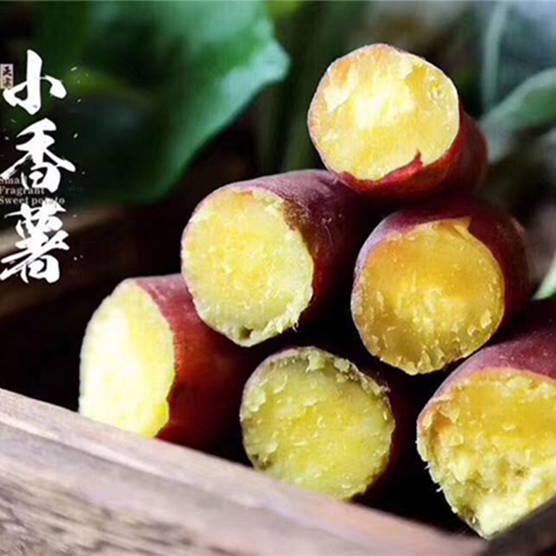 杭州临安天目小香薯5斤装