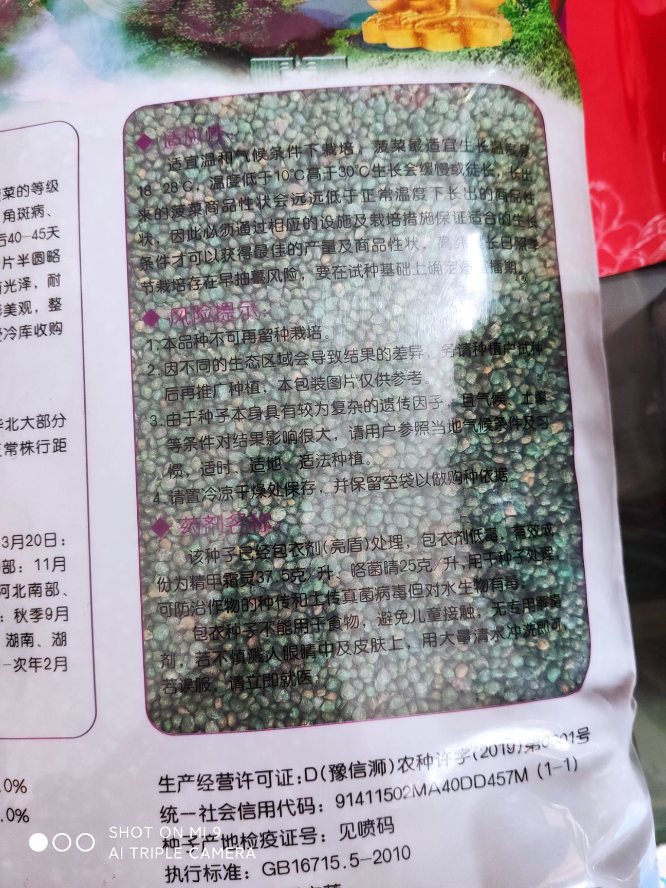 黑圆大叶菠菜种子 慕尼帝菠（）高耐抽苔黑而整齐耐热性突出国内外极受欢迎品种