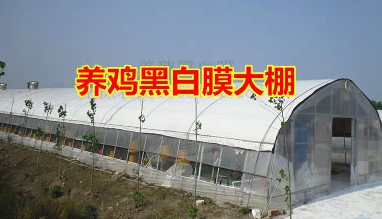 沭阳县热镀锌蔬菜大棚 热镀锌钢管大棚