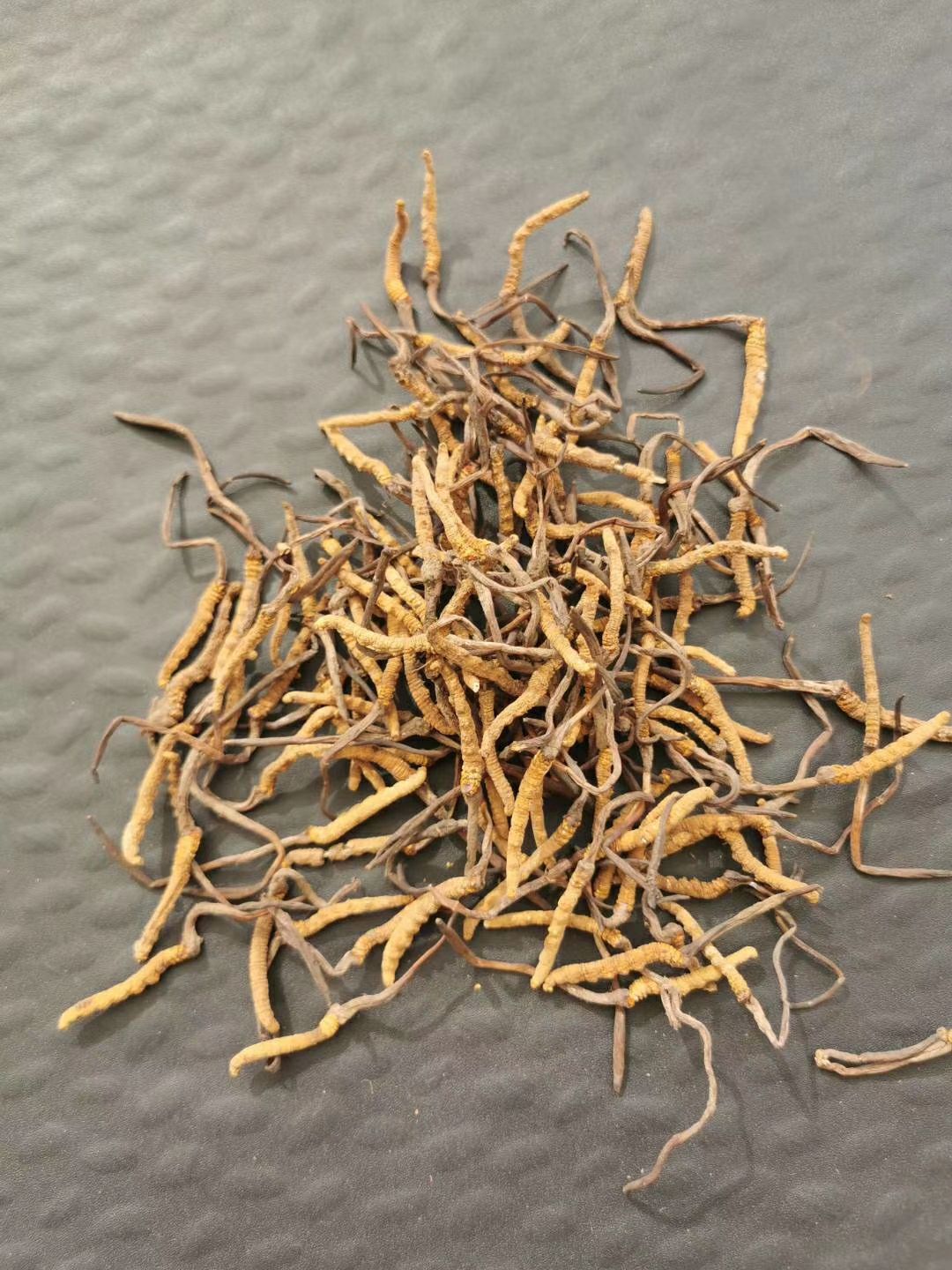 果洛州雪山虫草 青海果洛草9块一根