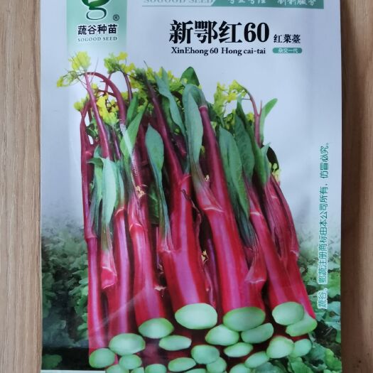 文成县红菜苔种子新鄂红早熟菜心苔粗质嫩苔色鲜红无蜡粉抗病强10克