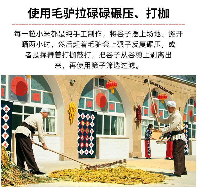 2024年陕北米脂黄小米营养更全面 农家自产自销