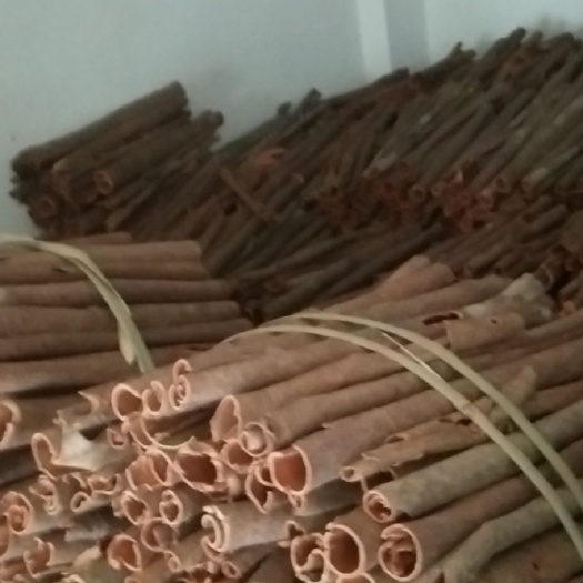 郁南县普通桂皮  自产自销本地桂皮