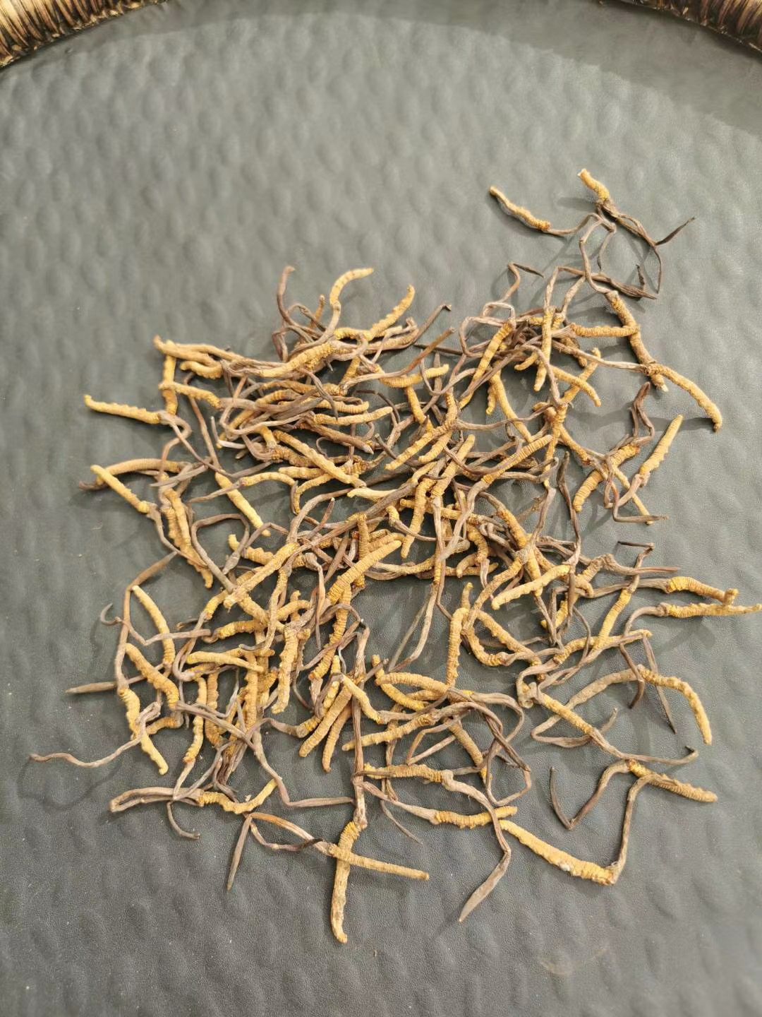果洛州雪山虫草 青海果洛草9块一根