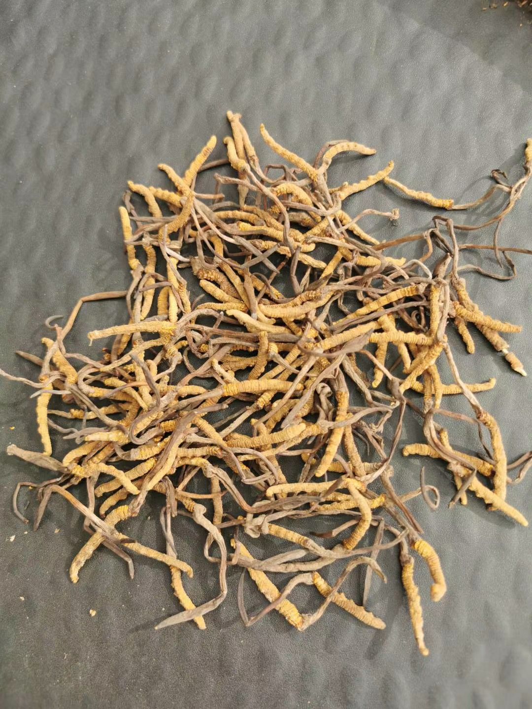 果洛州雪山虫草 青海果洛草9块一根