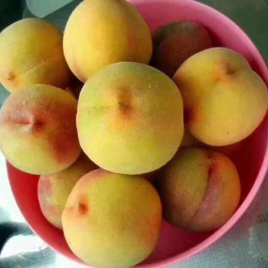 滁州 锦绣黄桃