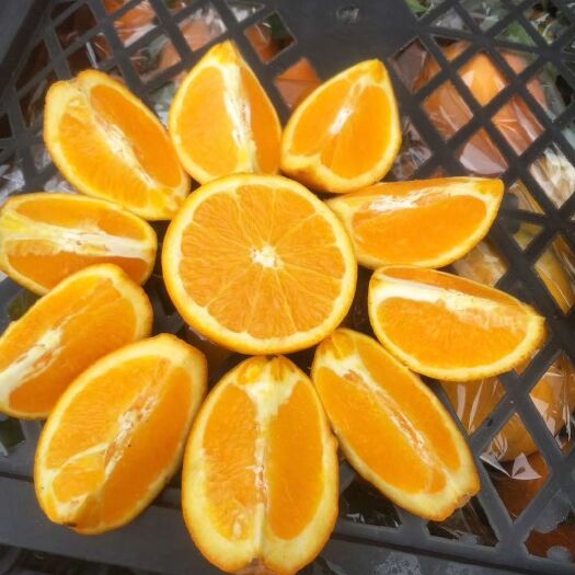 秭归县 秭归夏橙