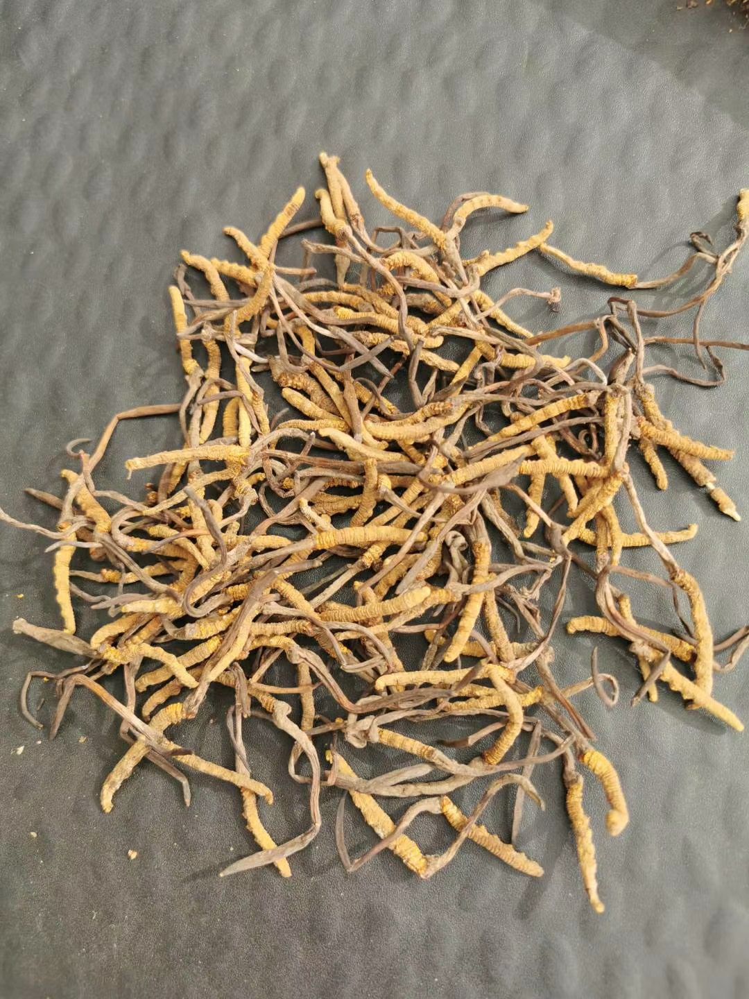 果洛州雪山虫草 青海果洛草9块一根