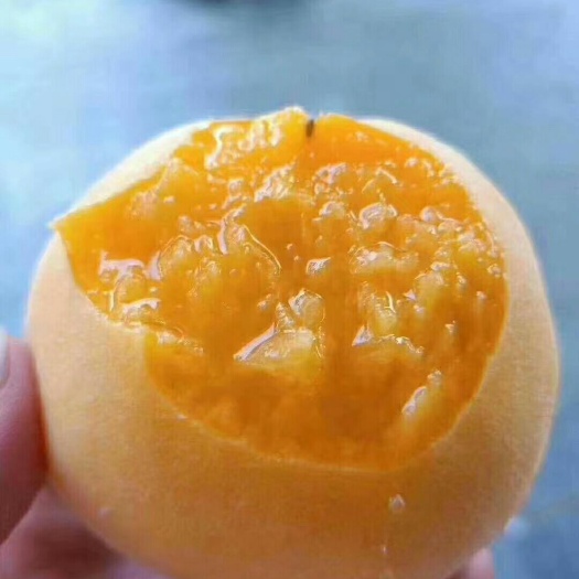 蒙阴县 黄桃大量有货，果园直发，新鲜到家
