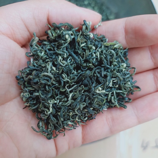 雅安茶青 雅安卷毛峰