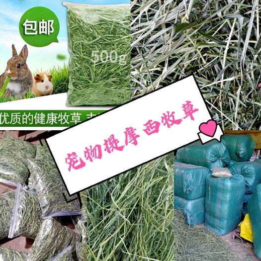 岷县提摩西草 20年优质提摩西干草
