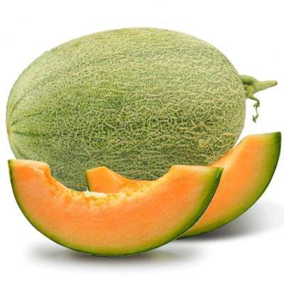 磴口县 供应大量哈密瓜，西州蜜