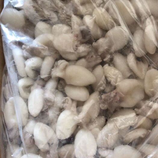 钦州墨鱼仔