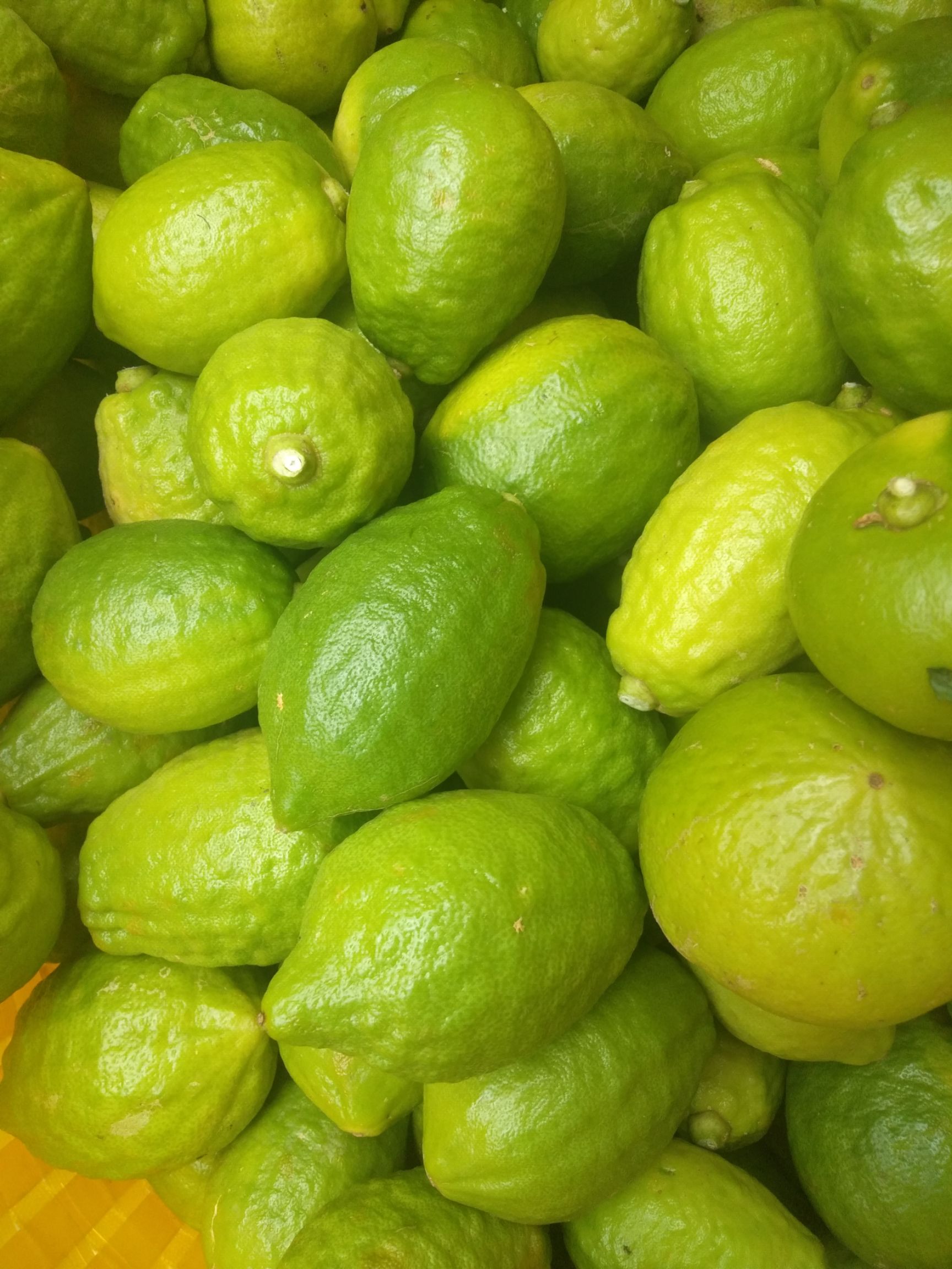 香水柠檬无籽香水柠檬西柠奶茶店饮品店专用批发产地供货