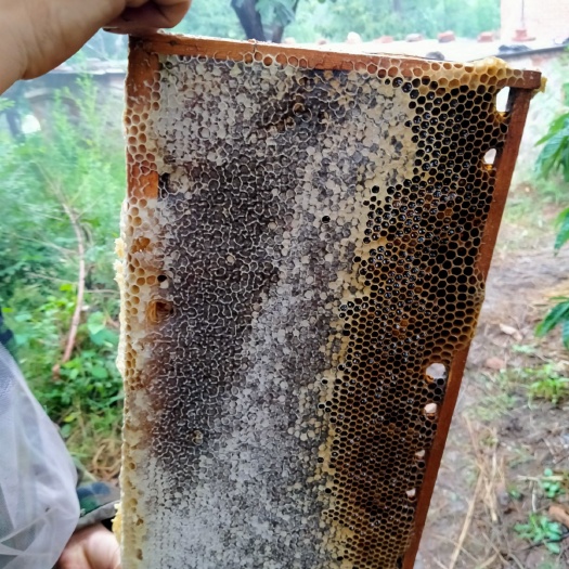 迁安市 全部封盖了，大量蜂蜜销售，绿色无污染，天然