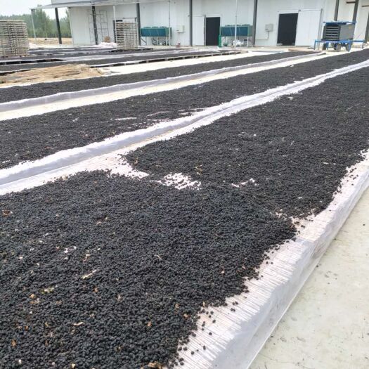 泊头市桑葚干  桑椹干好货，价格不高有需要的老板联系