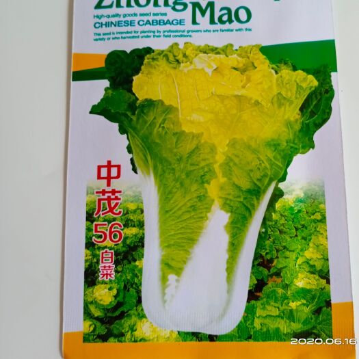 沭阳县 【中茂56】白菜种子，高产，出牙率高。