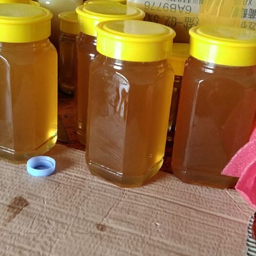 信宜市 天然野蜂蜜
