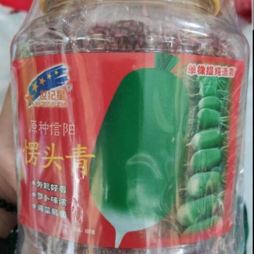 郑州 青萝卜种子，原种愣头青肉质清脆细嫩辛辣甘甜，耐储性好商品好