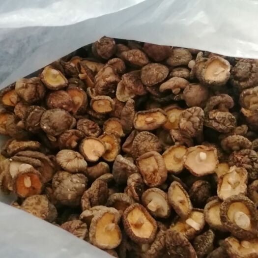 随县 香菇