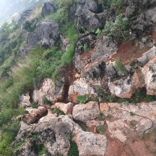 富民县 宅基地出租合作
