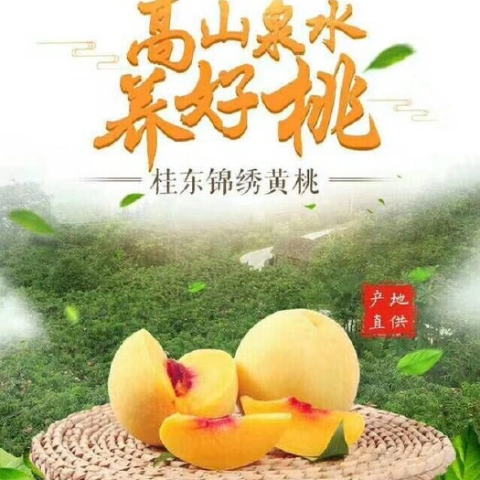 桂东县 桂东高山绿色应季水果锦绣黄桃