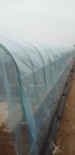 泊头市养殖大棚骨架 种植大棚