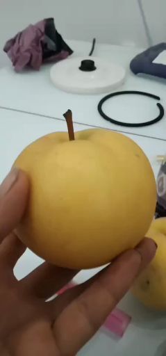 晚秋黄梨,黄梨,金秋黄梨,秋月,大量上市,代发全国,保证质量