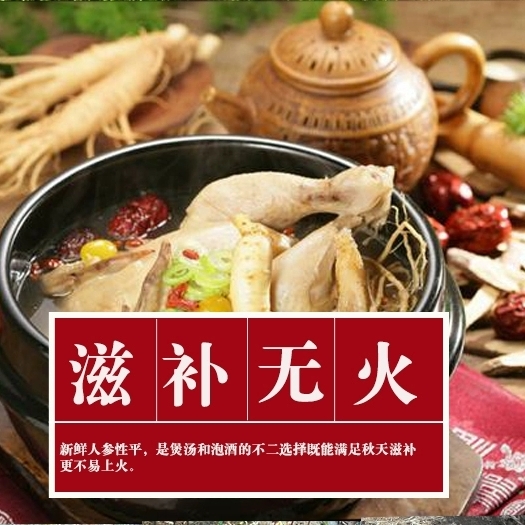 通化县 人参