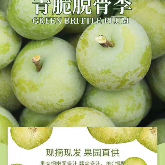宣汉县青红脆李 巴山特产，宣汉天宝青脆李即将大量成熟，天然无公害，无农药