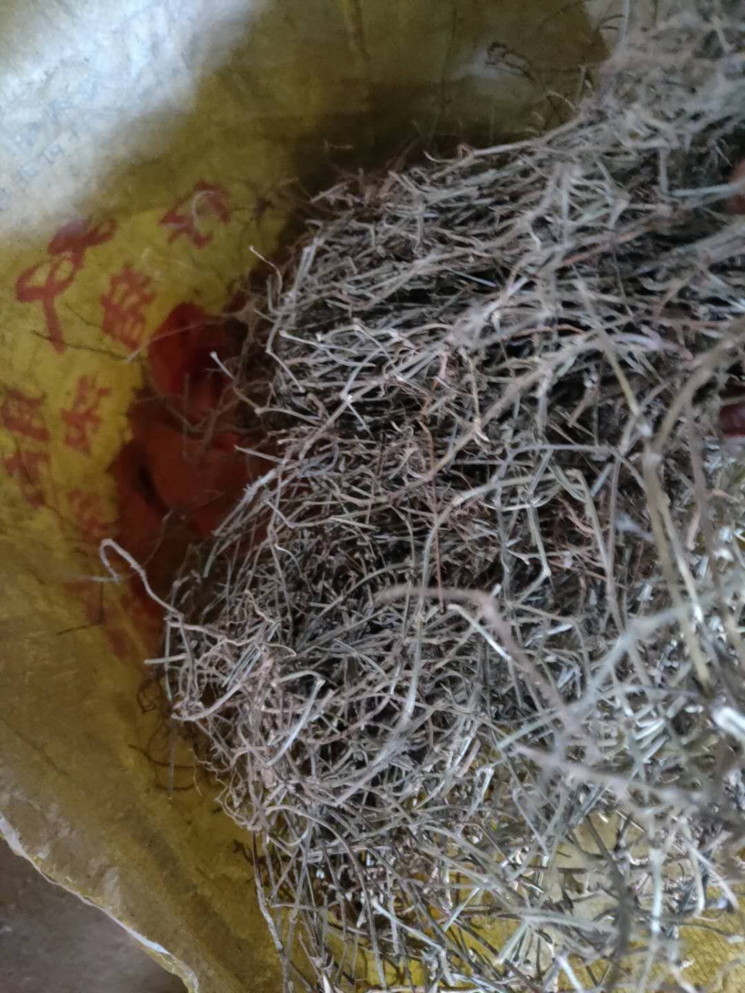 白花蛇舌草 低价处理一批打包好的白花舌草干货，好货，好货好货