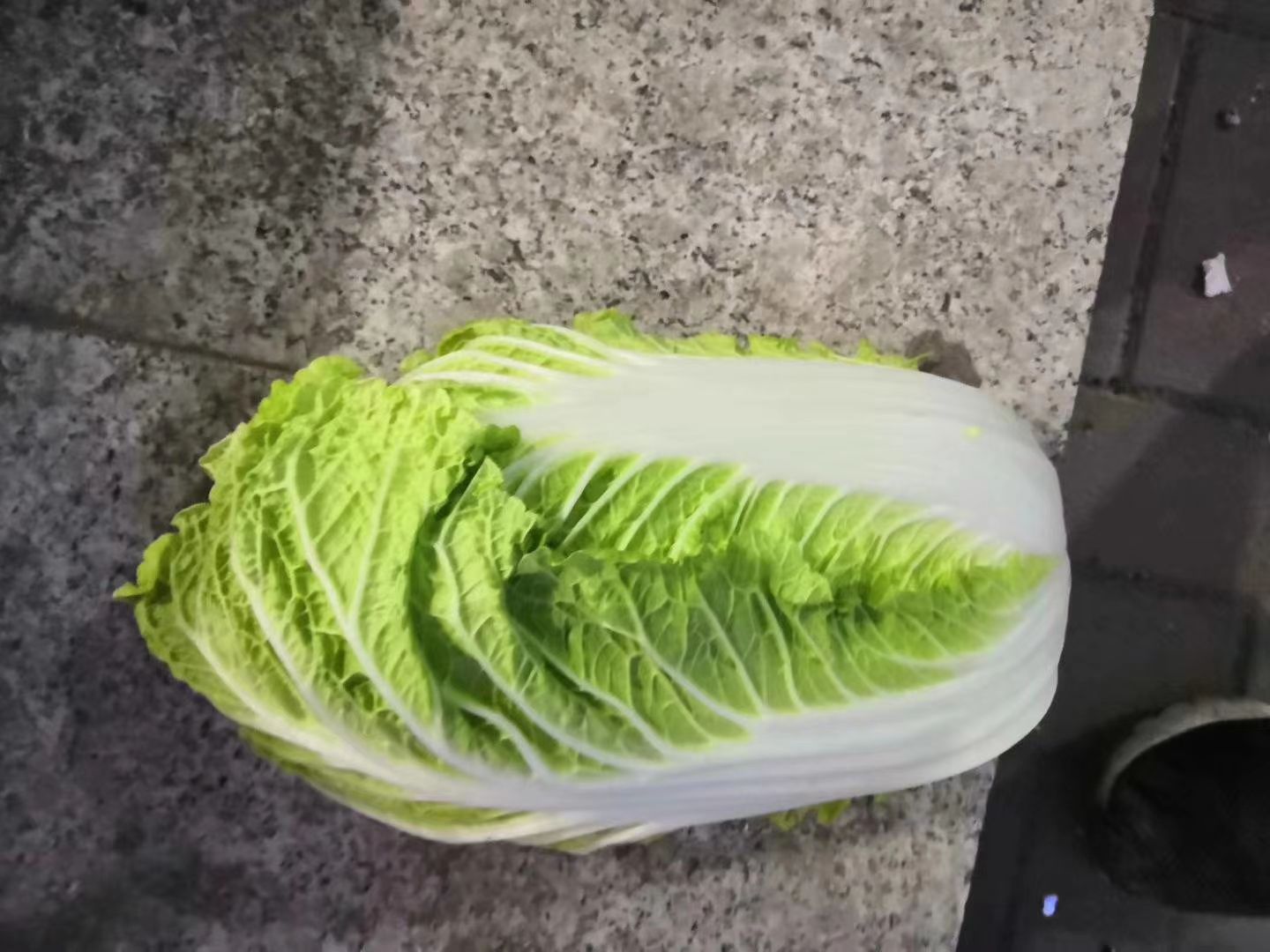 供应大厅  蔬菜 白菜