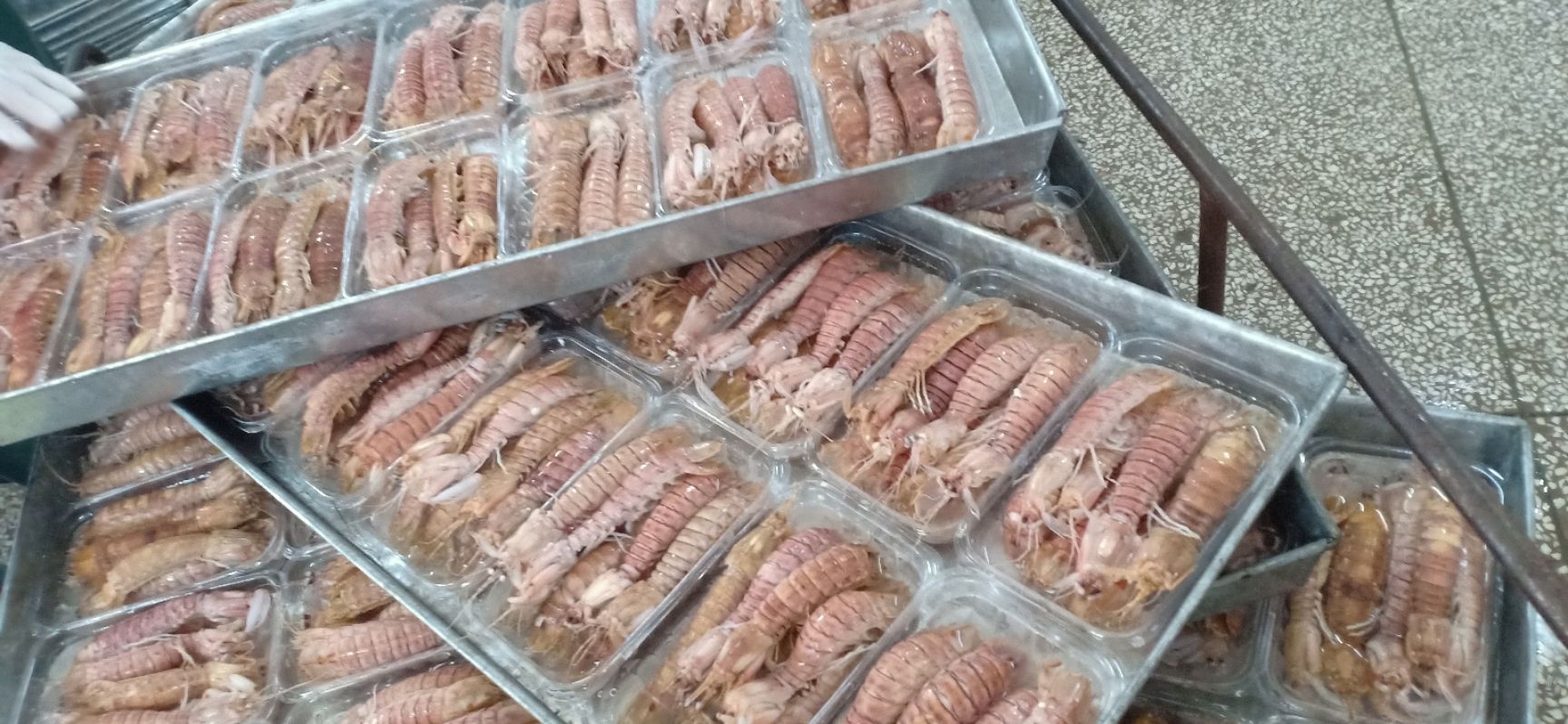 皮皮虾 虾姑 赖尿虾 螳螂虾产地直销