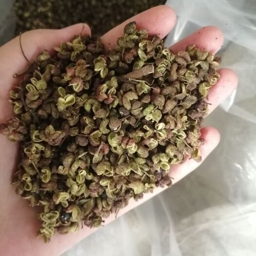 芮城县脱水青椒 山西运城青椒，刚烤出来