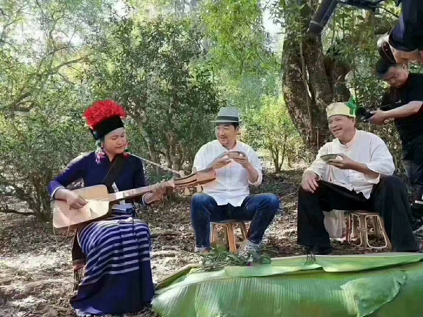 易武普洱茶 来自深山老林古树茶、花香扑鼻、口感甜润、让你喝出大山的气香味