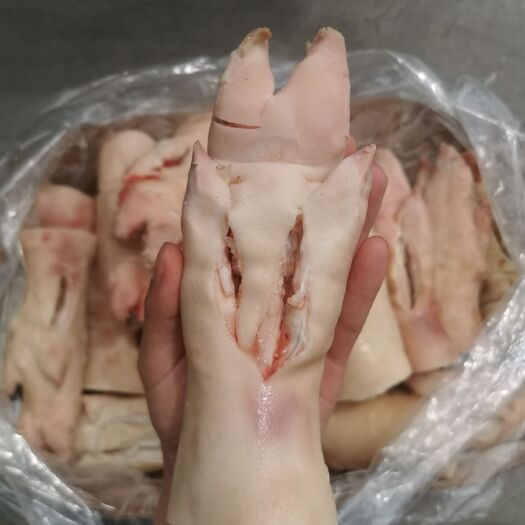 郑州猪蹄 后切一手货源，价格美丽