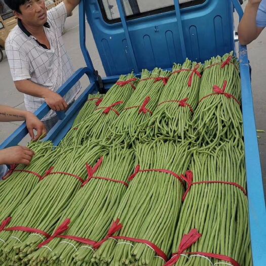 兰陵县精品长豆角，产地直销，发往全国各地，质量好，颜色绿