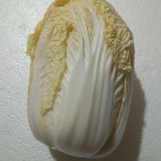 广州粉莲藕
