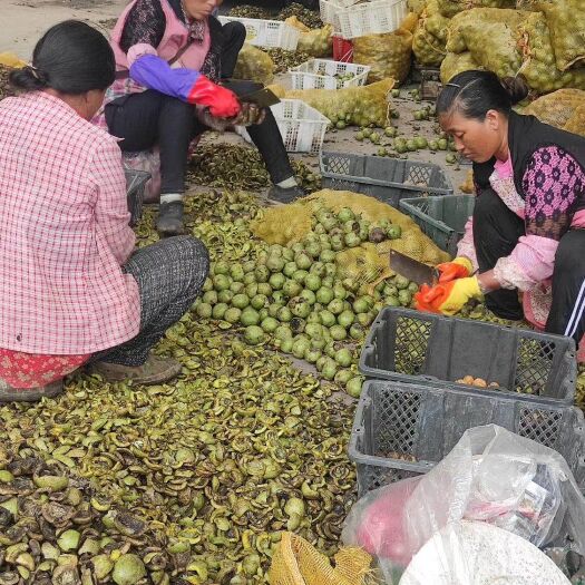 德昌县 核桃