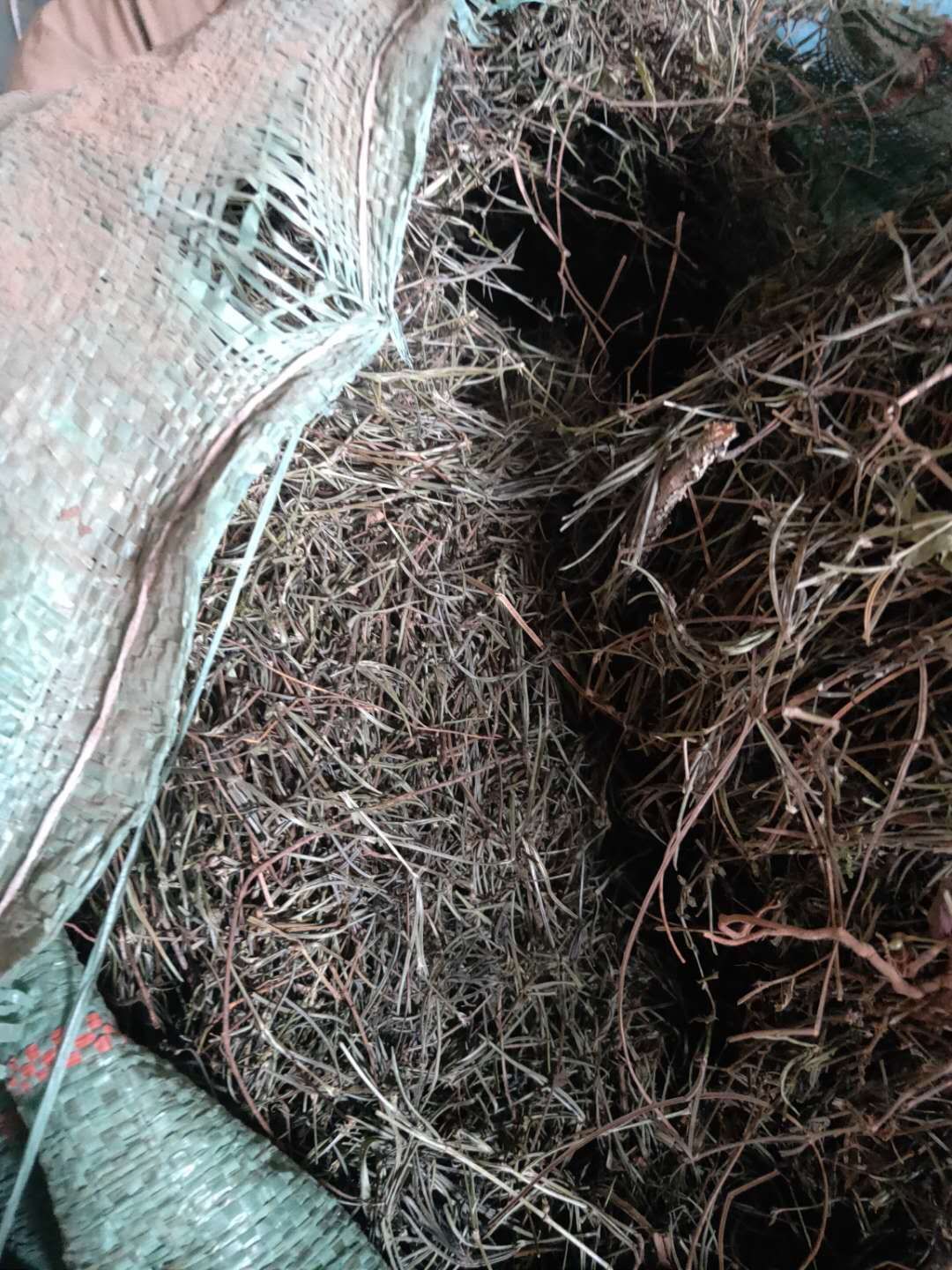 白花蛇舌草 低价处理一批打包好的白花舌草干货，好货，好货好货