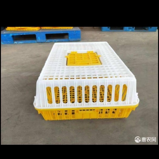 沧县 厂家处理一批鸡笼包邮