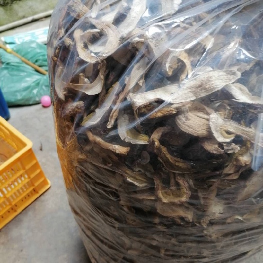宁强县 牛肝菌