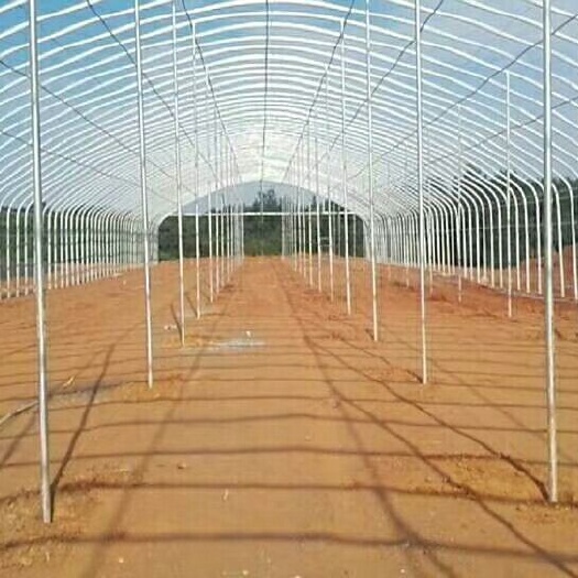沭阳县成套大棚 厂家直销包工包料，养殖棚种植棚，观光玻璃温室都可订做