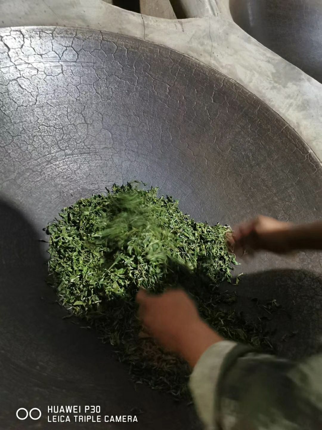 易武普洱茶 来自深山老林古树茶、花香扑鼻、口感甜润、让你喝出大山的气香味