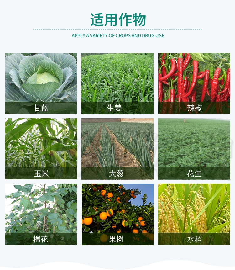 甲维虫螨腈  吉能克甲维.虫螨腈水稻卷叶螟钻心虫草地贪叶蛾棉